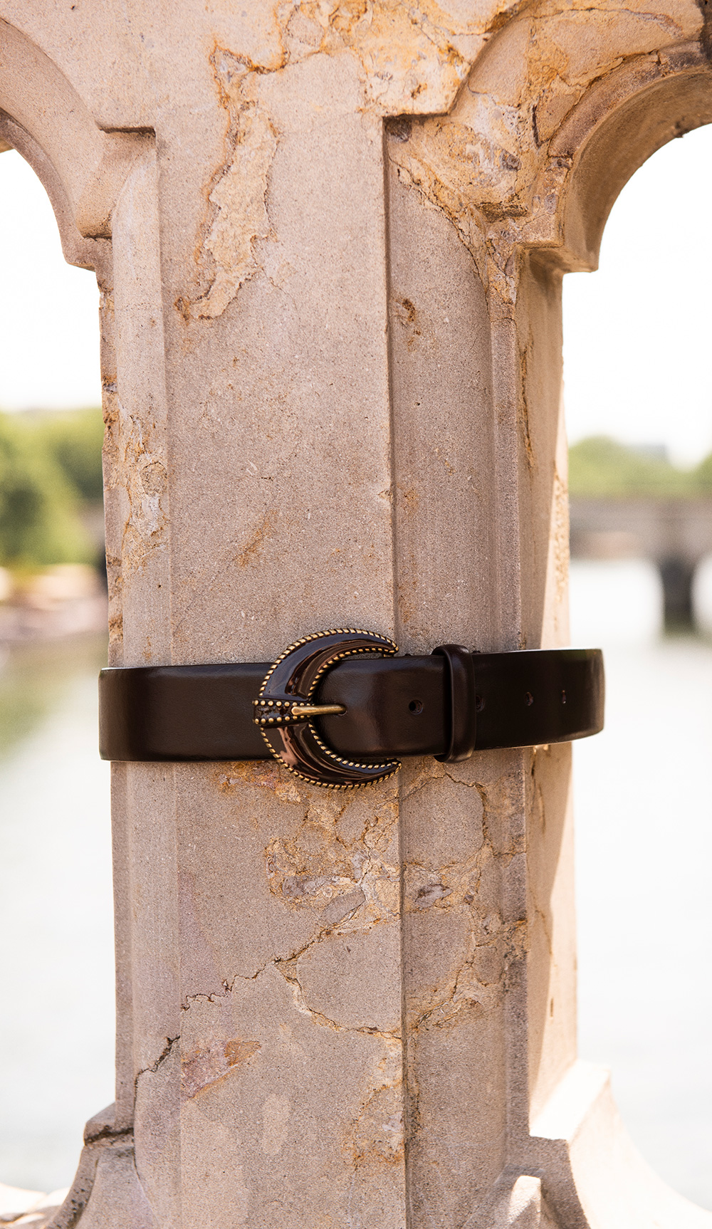 Brown belts